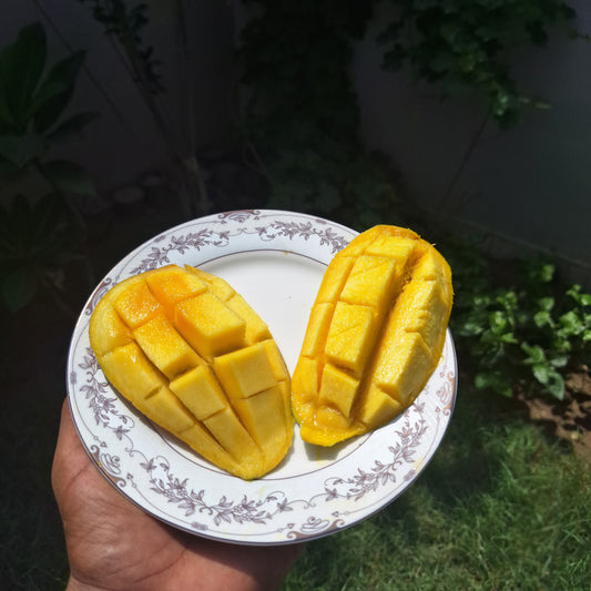 White Late chounsa (nawabpuri)From late July to August