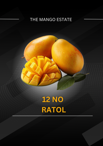 12 no Ratol( From mid July)