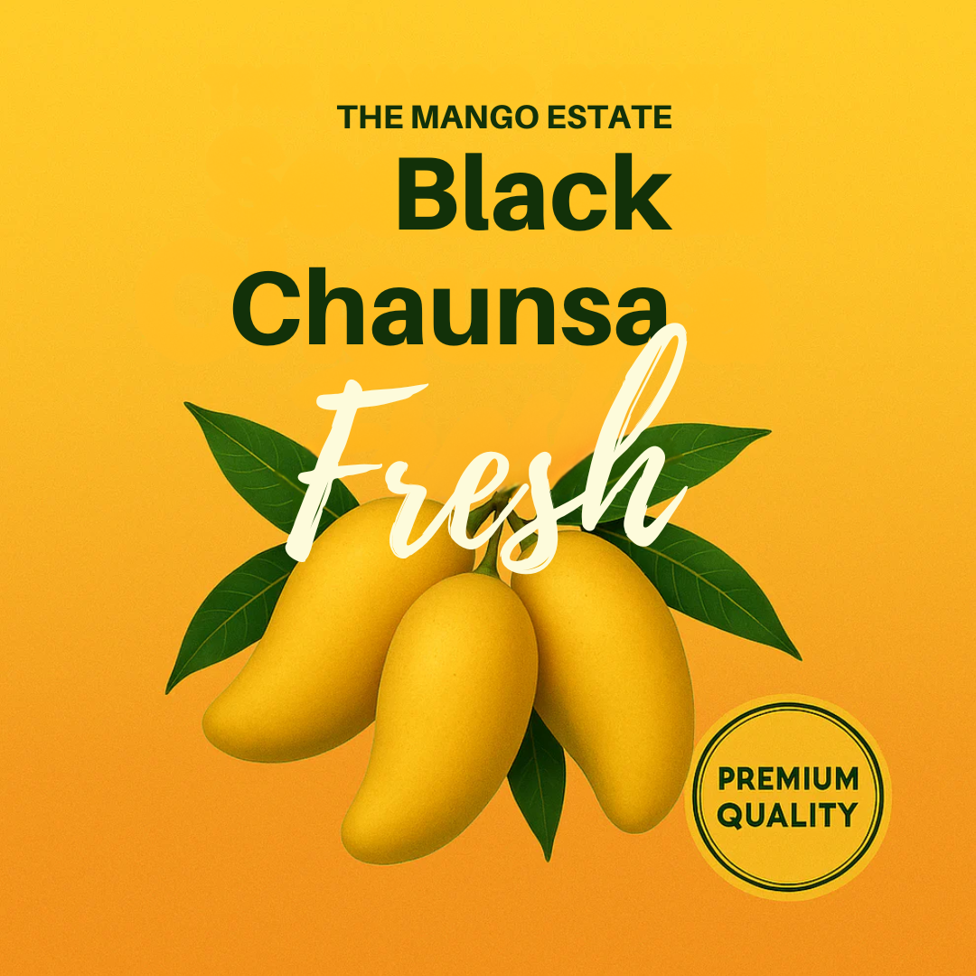 Premium black Chaunsa
