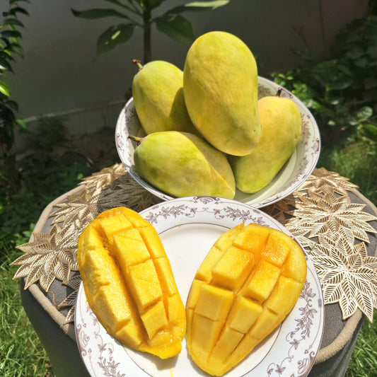Seasonal Chounsa( from mid july)