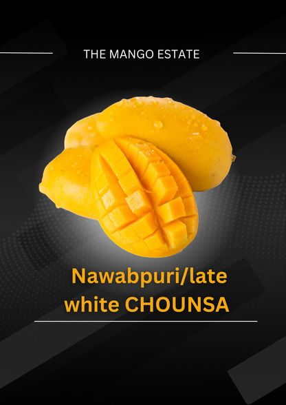 White Late chounsa (nawabpuri)From late July to August