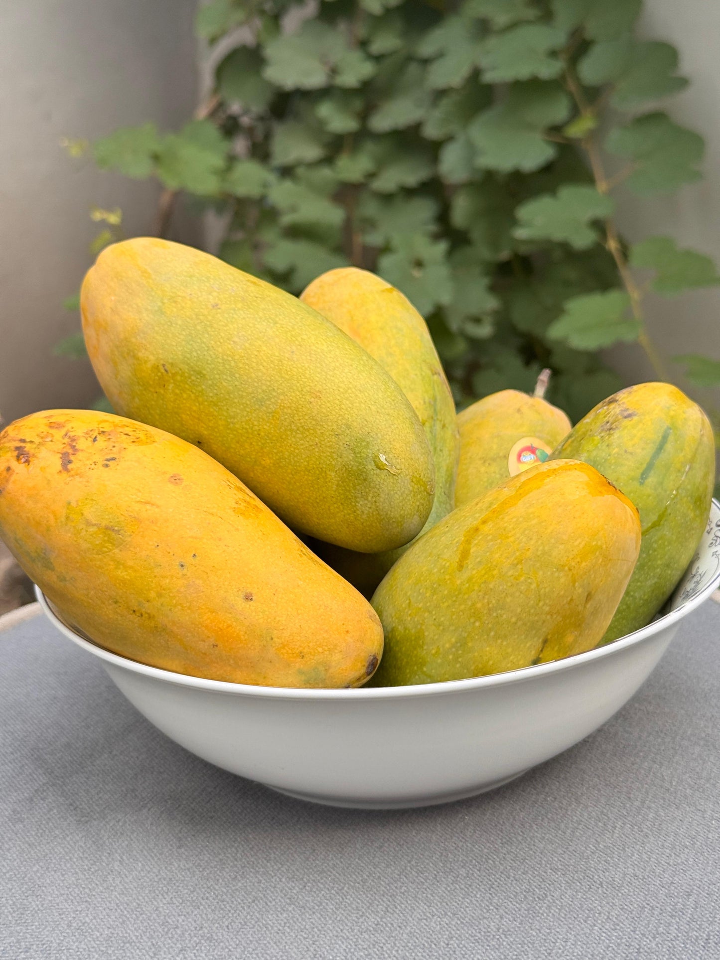 Dusari Mango