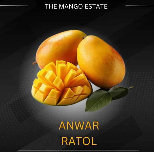 Premium Anwar Ratol