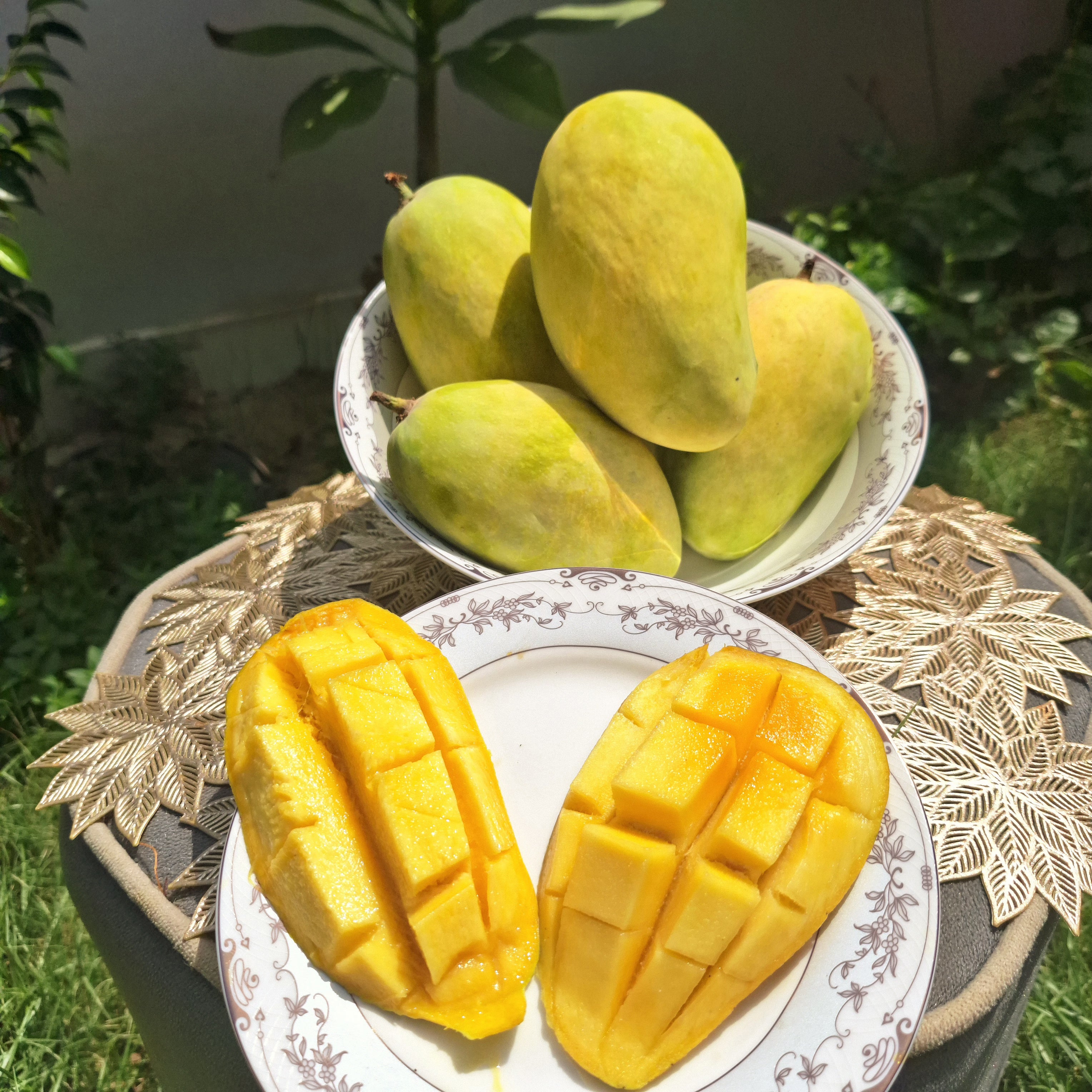 Premium Multani Chounsa (Free TCS delivery)