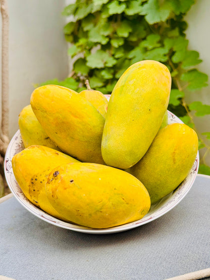 Dusari Mango