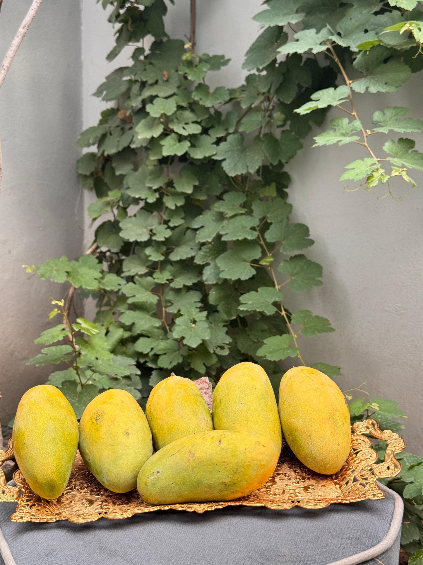 Dusari Mango