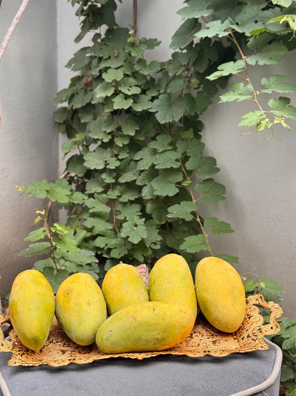 Dusari Mango