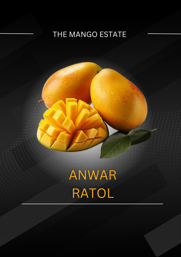 Premium Anwar Ratol(From mid june)