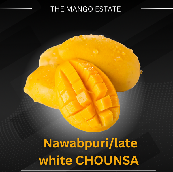 White Late chounsa (nawabpuri)From late July to August
